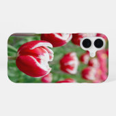 Nederlandse tulpen tuin iPhone 16 hoesje (Achterkant horizontaal)