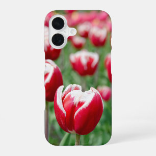 Nederlandse tulpen tuin iPhone 16 hoesje