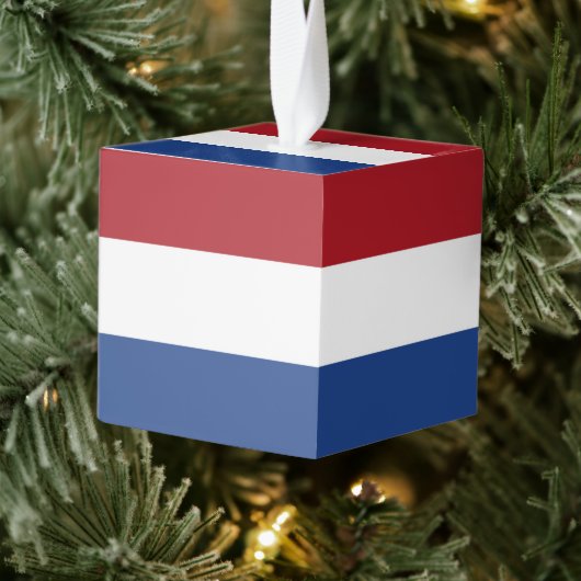 Nederlandse vlag decoratie (Boom)