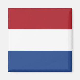 Nederlandse vlag magneet