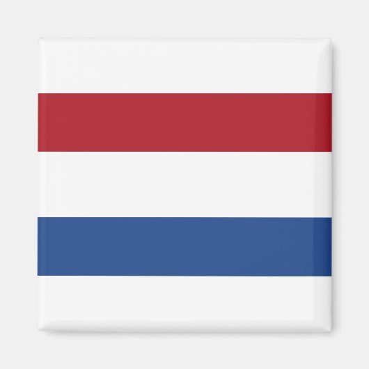 Nederlandse vlag magneet (Voorkant)