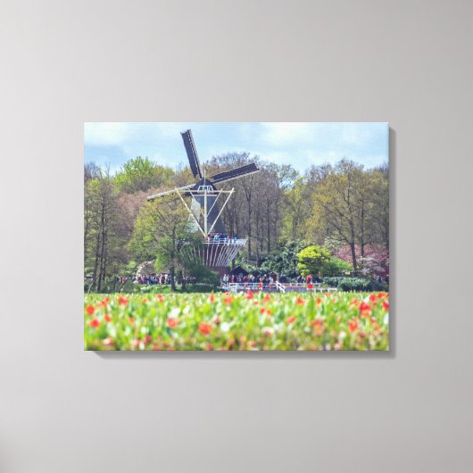 Nederlandse windmolen en tulpenvelden canvas print (Voorkant)