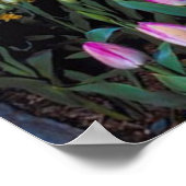 Nederlandse windmolen op zonsondergang in het Holl Poster (Hoek)