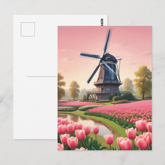 nederlandse windmolens briefkaart (Voorkant / Achterkant)