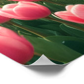 nederlandse windmolens poster (Hoek)