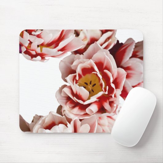 Nederlandstalige meesters muismat (Met muis)