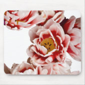 Nederlandstalige meesters muismat (Voorkant)