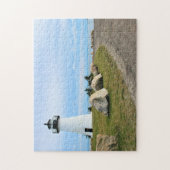 Ned's Point Lighthouse, Massachusetts Puzzle Legpuzzel (Verticaal)