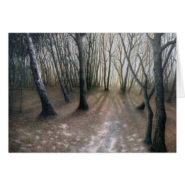 Nee.2 - 'Na de sneeuw' van Ron McGill. (Voorkant Horizontaal)