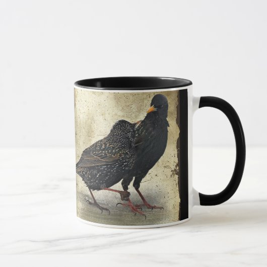 Nee, dat heb je niet gedaan. -mok mok (Rechts)