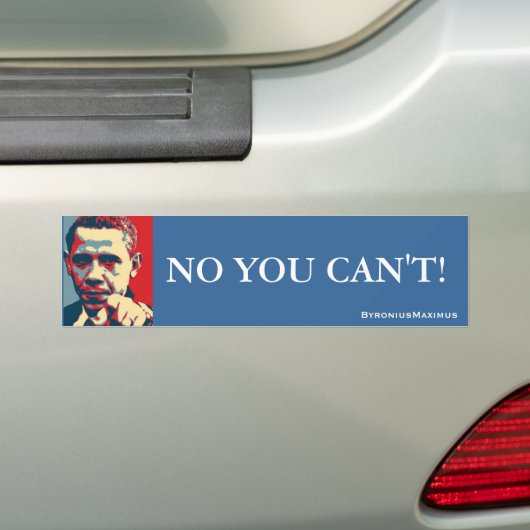 NEE, DAT KAN JE NIET. BUMPERSTICKER (Op auto)