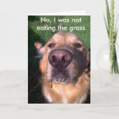 Nee, dat was ik niet kaart (Voorkant)