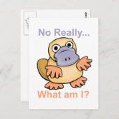 Nee echt... Wat ben ik? Platypus Briefkaart (Voorkant / Achterkant)
