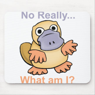 Nee echt... Wat ben ik? Platypus Muismat