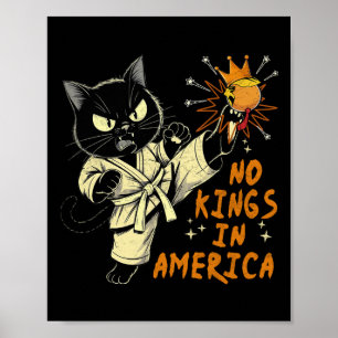 Nee, geen koningen in Amerika, grappig Trump Wij H Poster