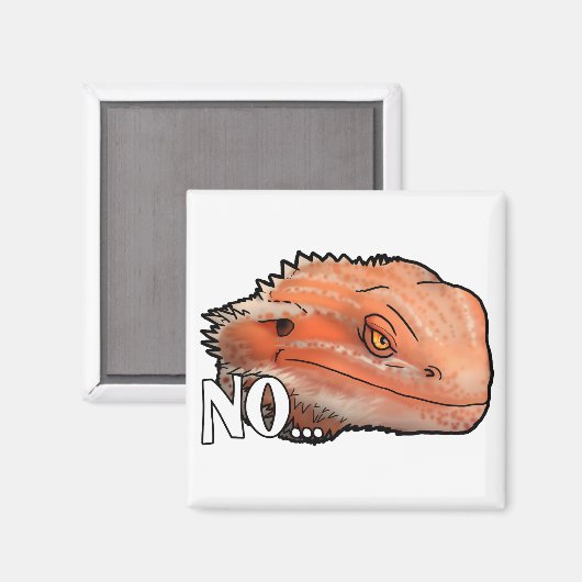 Nee Magneet (Voorkant / Achterkant)