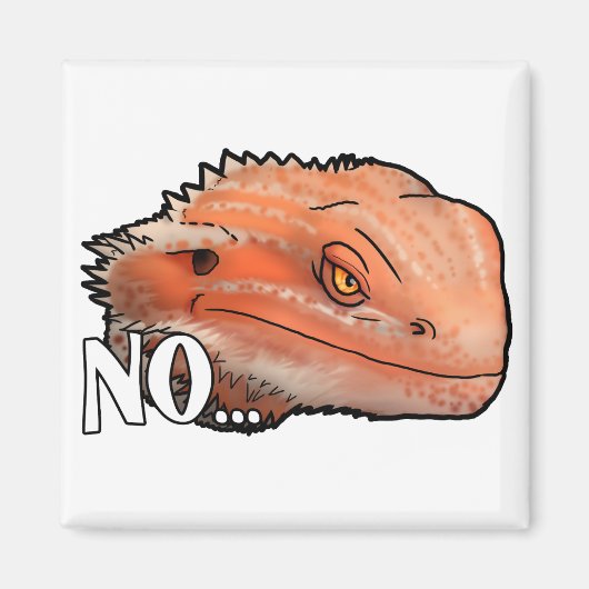 Nee Magneet (Voorkant)