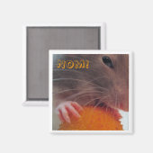 Nee! Magneet (Voorkant / Achterkant)