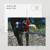 Nee, Mr Bill Briefkaart. Briefkaart (Voorkant / Achterkant)