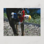 Nee, Mr Bill Briefkaart. Briefkaart (Voorkant)