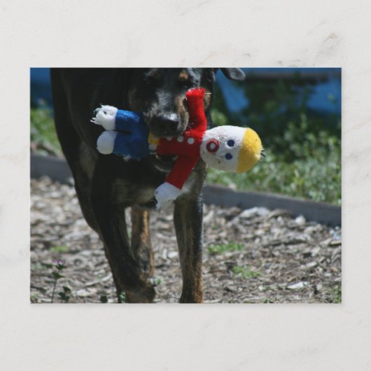 Nee, Mr Bill Briefkaart. Briefkaart (Voorkant)