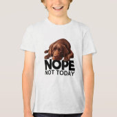 Nee, niet vandaag chocolade labrador Tri-Blend shirt (Voorkant)