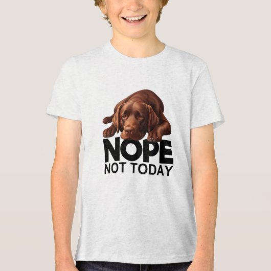 Nee, niet vandaag chocolade labrador Tri-Blend shirt (Voorkant)