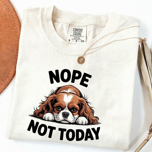 Nee Niet Vandaag Grappige Pug Hond Meme T-shirt