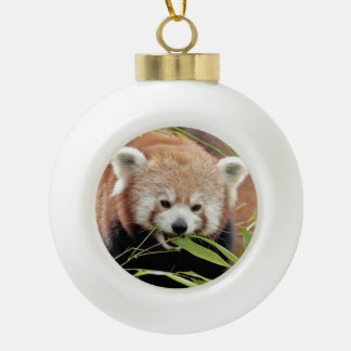 Nee, rode panda. Panda roux. Keramische Bal Ornament