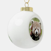 Nee, rode panda. Panda roux. Keramische Bal Ornament (Links)