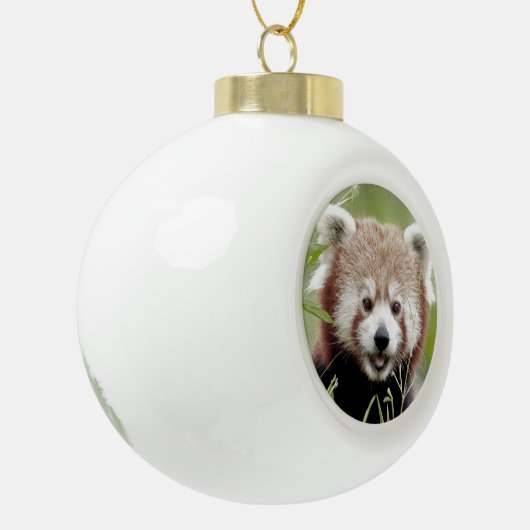 Nee, rode panda. Panda roux. Keramische Bal Ornament (Links)