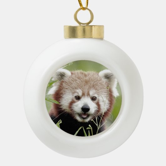 Nee, rode panda. Panda roux. Keramische Bal Ornament (Voorkant)