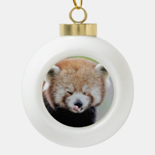 Nee, rode panda. Panda roux. Keramische Bal Ornament