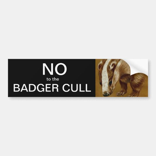 Nee tegen de Badger Cull bumper sticker (Voorkant)