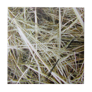 "needle in een hooiberg" Foto Tile Tegeltje
