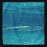 Needlefish Bandana<br><div class="desc">Een school van Needlefish in een kristalhelder Florida bron.</div>