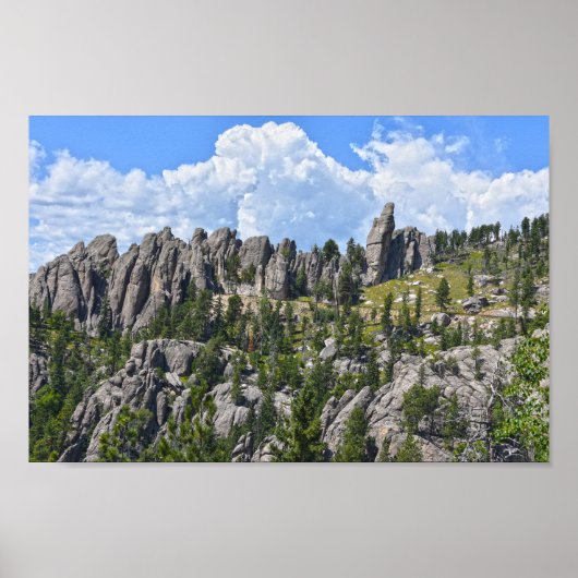 Needles Highway, Black Hills, South Dakota Poster (Voorkant)