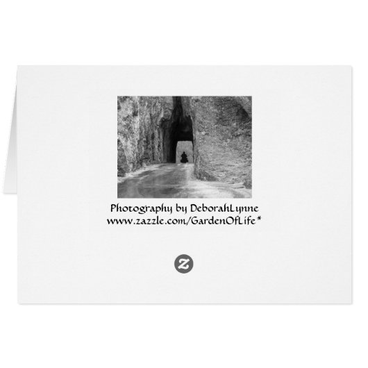 Needles Highway Tunnel (Achterkant Horizontaal)