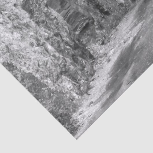 Needles Highway Tunnel Tissuepapier (Detail)