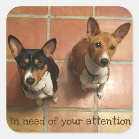 Needy Basenji's Vierkante Sticker (Voorkant)