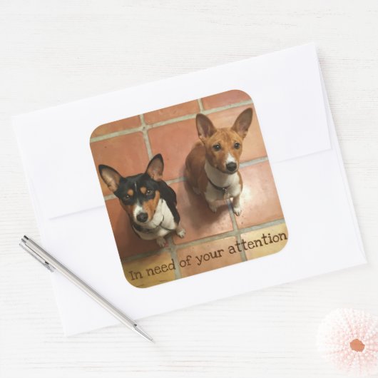 Needy Basenji's Vierkante Sticker (Envelop)