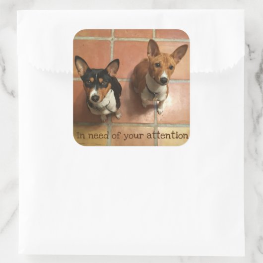 Needy Basenji's Vierkante Sticker (Tas)