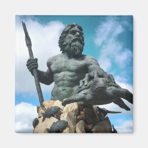 neef van de koning op het strand van virginia magneet