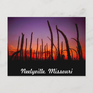 Neelyville Missouri Briefkaart