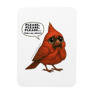 Neem Alsjeblieft Mijn Foto Grappige Kardinaalvogel Magneet