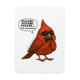 Neem Alsjeblieft Mijn Foto Grappige Kardinaalvogel Magneet