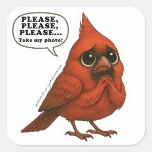 Neem Alsjeblieft Mijn Foto Grappige Kardinaalvogel Vierkante Sticker