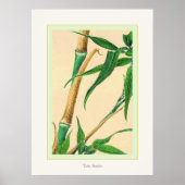 Neem Bamboe ~  Japanse vingerafdrukken Poster (Voorkant)