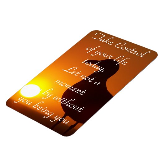 Neem controle._ magneet (Linkerzijde)