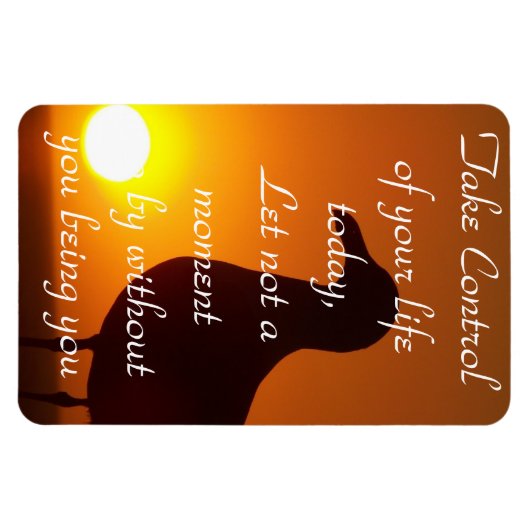 Neem controle._ magneet (Horizontaal)